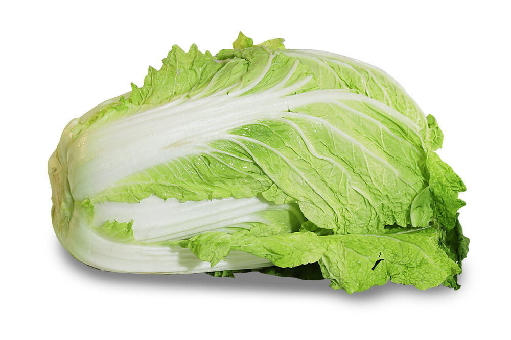 取り扱い商品 盛光食品株式会社